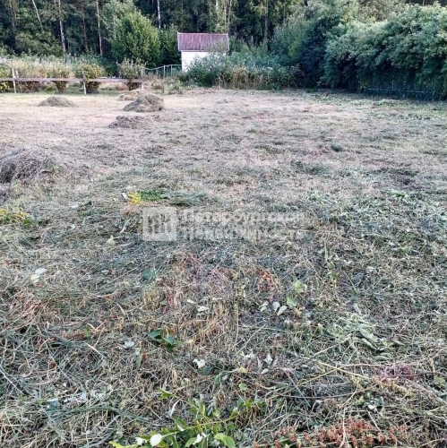 Земельный участок Новая Ладога г, СНТ Нептун тер