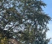 Продать Квартиры вторичка Окружной проезд, 10Б   