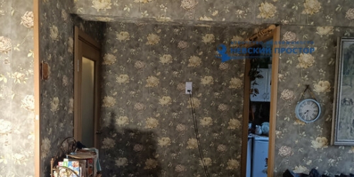 1-комн квартира проспект Мечникова,  д. 9