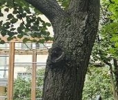 Продать Квартиры вторичка Щелково, проспект 60 лет Октября, 5   