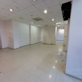 Аренда ПСН Ленинский пр-кт, д. 87 Аренда ПСН Ленинский пр-кт, д. 87