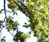 Сдать в аренду Квартиры вторичка Железноводская улица, 32   