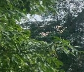 Продать Квартиры вторичка улица Маринеско, 10   