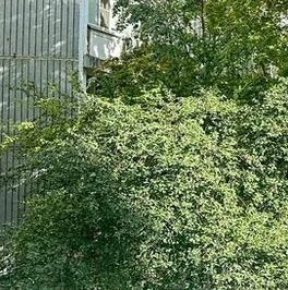 Продажа 3-комн квартиры на вторичном рынке Кунцевская улица, 13/6 Продажа 3-комн квартиры на вторичном рынке Кунцевская улица, 13/6