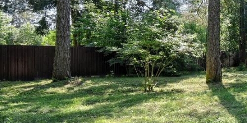 Коттедж/дом пос. Лисий Нос, Большой проспект, 60