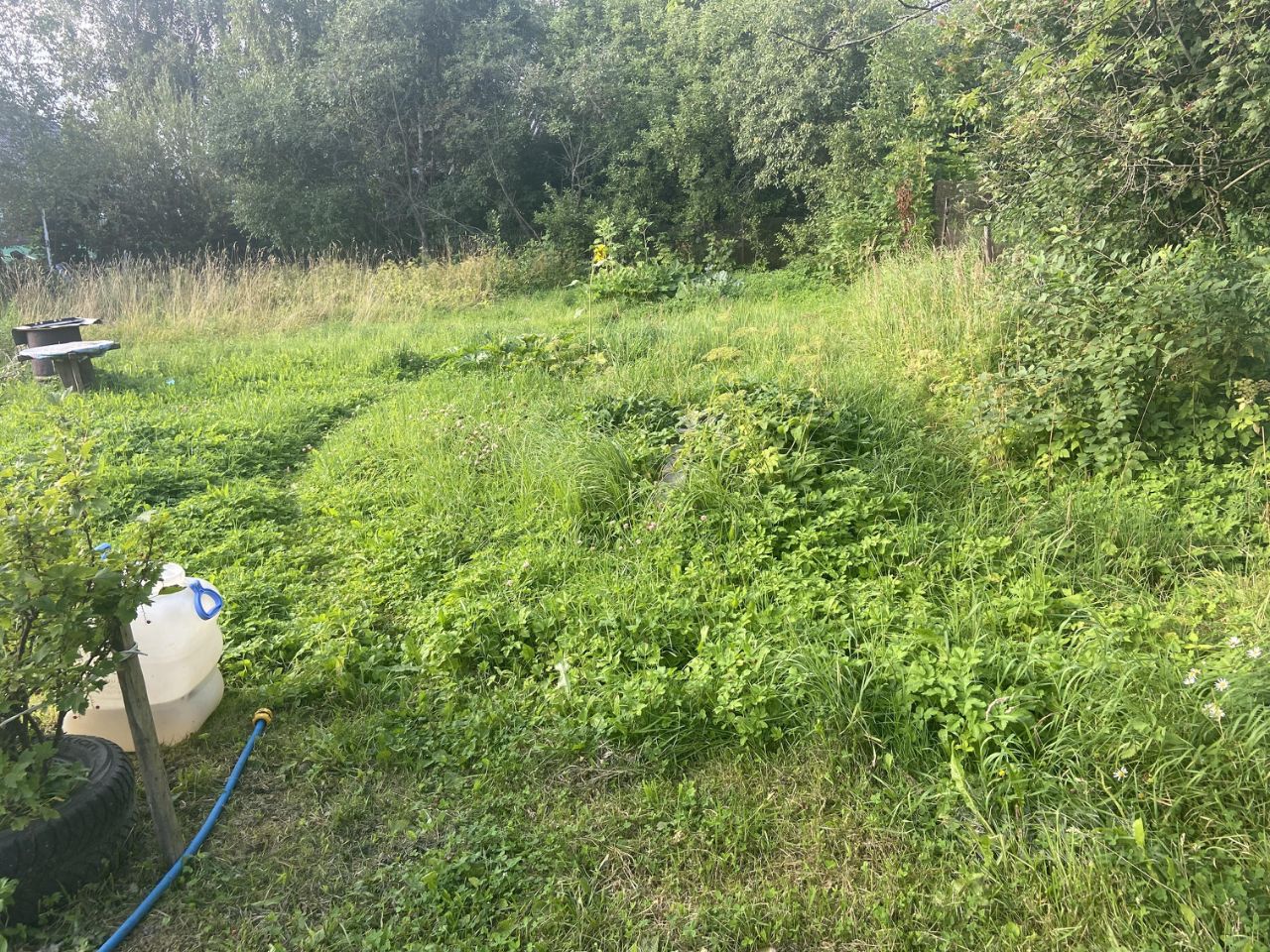 Продажа дома д. Верхние Осельки, улица Советская, 19