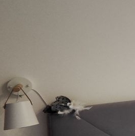 Аренда 1-комн квартиры на вторичном рынке Перовское шоссе, 2к1