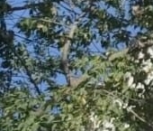 Продать Квартиры вторичка Казарменный переулок, 8С3   