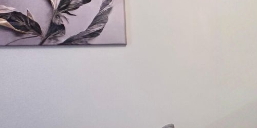 Студия Пречистенский переулок, 22/4