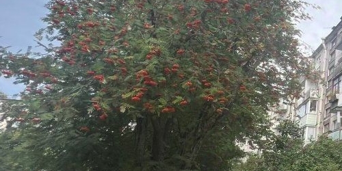 3-комн квартира Выборг, улица Рубежная, 18