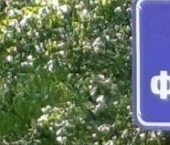 Продать Земельные участки, земля Финские Холмы ДНП, проезд 3-й, 16   