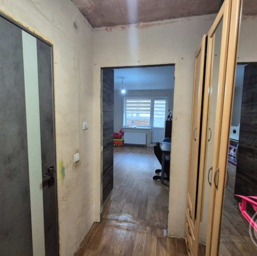 Студия Янино-1 пос., Голландская ул. ,  д. 8,  к. 1