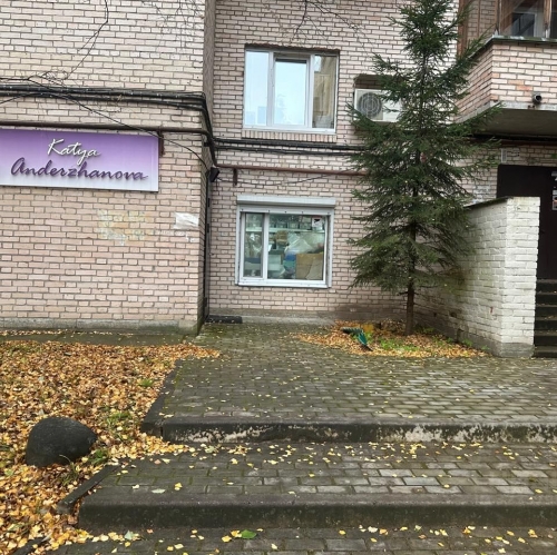 Помещение свободного назначения Пушкин г, Церковная ул,  д. 46