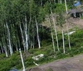 Продать Земельные участки, земля СОСН Раздолье тер., переулок 7-й Морошковый   