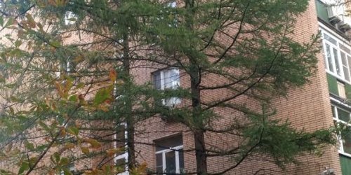 2-комн квартира Мосфильмовская улица, 11К4