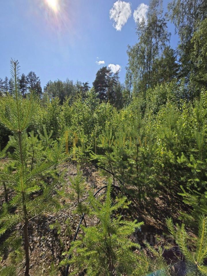 Продажа земли Перелесье кп, 35