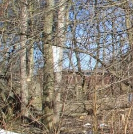 Продажа земли Захожье-2 садоводческий массив, Захожье-5 СНТ Продажа земли Захожье-2 садоводческий массив, Захожье-5 СНТ