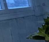 Продать Квартиры вторичка Алтуфьевское шоссе, 11К3   