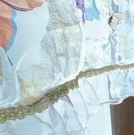 Продажа 2-комн квартиры на вторичном рынке Орехово-Зуево, проезд 1-й Луговой,  д. 10