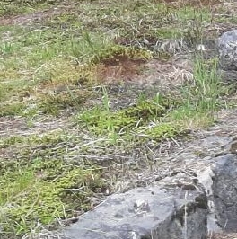 Продажа дома Славино-2 СНТ, д. 44 Продажа дома Славино-2 СНТ, д. 44