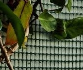 Продать Квартиры вторичка 9-я Васильевского острова линия, 56   