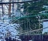 Продать Дачи, коттеджи, загородные дома Мшинская садоводческий массив, Буревестник СНТ, улица Зеленая  16 