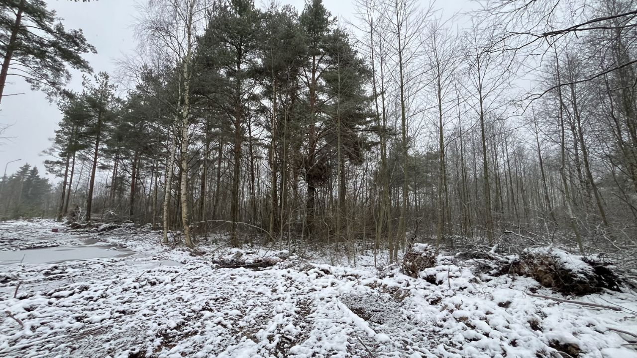 Продажа земли Зеленый квартал кп, Шлиссельбург