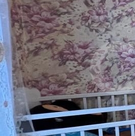 Продажа 2-комн квартиры на вторичном рынке Сиреневый бульвар, 3К3 Продажа 2-комн квартиры на вторичном рынке Сиреневый бульвар, 3К3