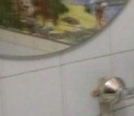 Аренда комнаты в коммуналках улица Есенина, 11К2