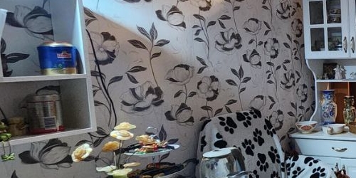 5-комн квартира Нарвский проспект, 24