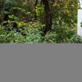 Продажа 1-комн квартиры на вторичном рынке 5-й микрорайон, Советская улица,  д. 22