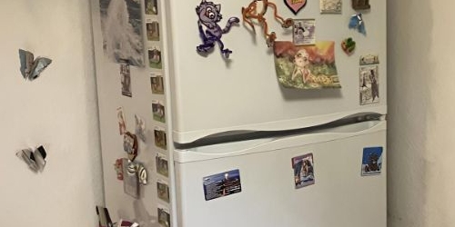 1-комн квартира Пушкин, Леонтьевская улица, 52