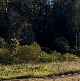 Продажа земли д. Турышкино, улица Новая