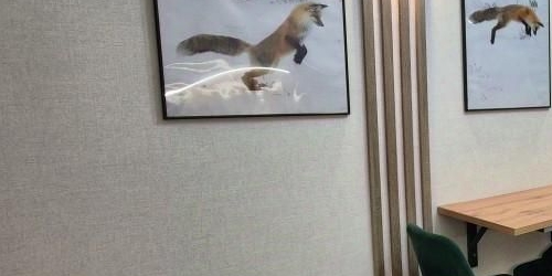 1-комн квартира проспект Энергетиков, 30К1