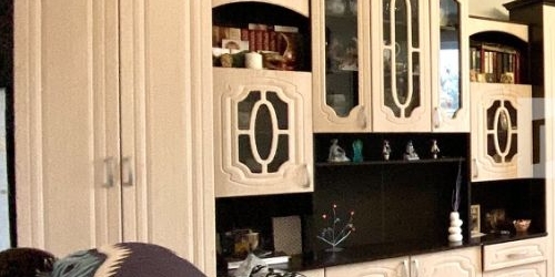 2-комн квартира пос. Шушары, Пушкинская улица, 10