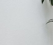 Сдать в аренду Квартиры вторичка Планерная улица, 89   