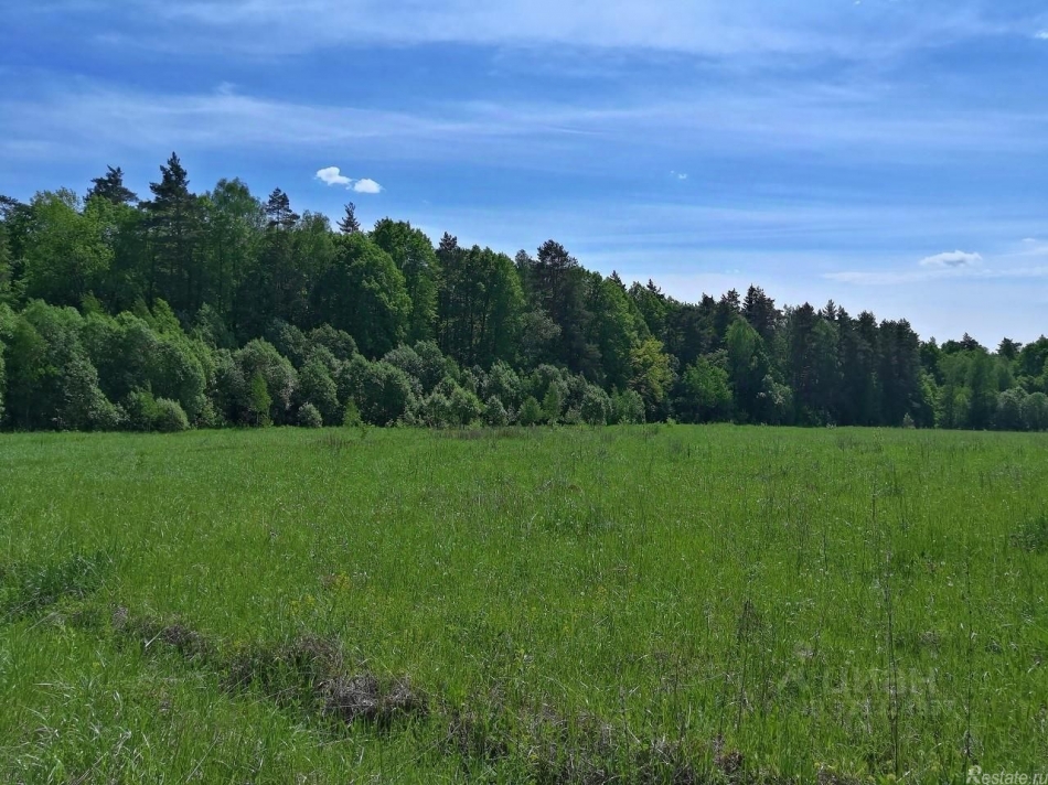 Продажа земли Райсемёновское, 46Н-11244