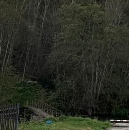 Продажа земли д. Грязно, улица Новый Поселок, 7