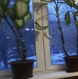 Продажа 2-комн квартиры на вторичном рынке улица Гончарова, 19