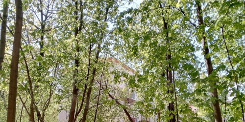 Помещение свободного назначения Парковая 5-я ул,  д. 42