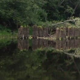 Продажа земли д. Подгородье, улица Новгородская, 2 Продажа земли д. Подгородье, улица Новгородская, 2