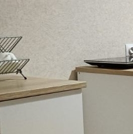 Аренда 1-комн квартиры на вторичном рынке Мурино, улица Шоссе в Лаврики, 78к2