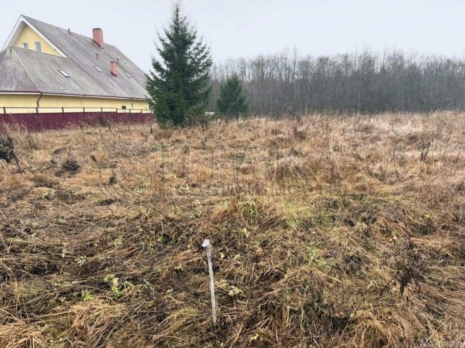 Продажа земли Озертицы, Озертицы д.