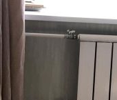 Продать Квартиры вторичка Лесной Городок пгт, улица Энергетиков, 3   