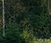 Продать Дачи, коттеджи, загородные дома пос. Солнечное, Средняя улица, 8к1   