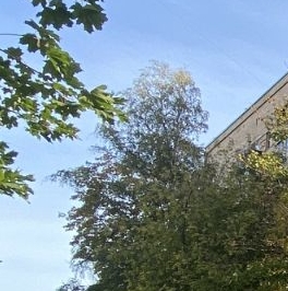 Продажа 2-комн квартиры на вторичном рынке улица Молодцова, 23К1 Продажа 2-комн квартиры на вторичном рынке улица Молодцова, 23К1