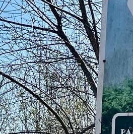 Продажа дома пос. Щеглово, улица Шпалерная, 40А Продажа дома пос. Щеглово, улица Шпалерная, 40А