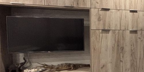 2-комн квартира Заневский проспект, 42