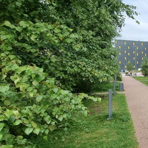 2-комн квартира проспект Орлово-Денисовский, 19к1