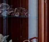 Продать Квартиры вторичка 1-я Тверская-Ямская улица, 13С1   